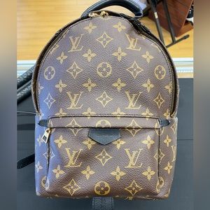 Louis Vuitton Palm Springs PM Monogram Rucksack *Read Description*